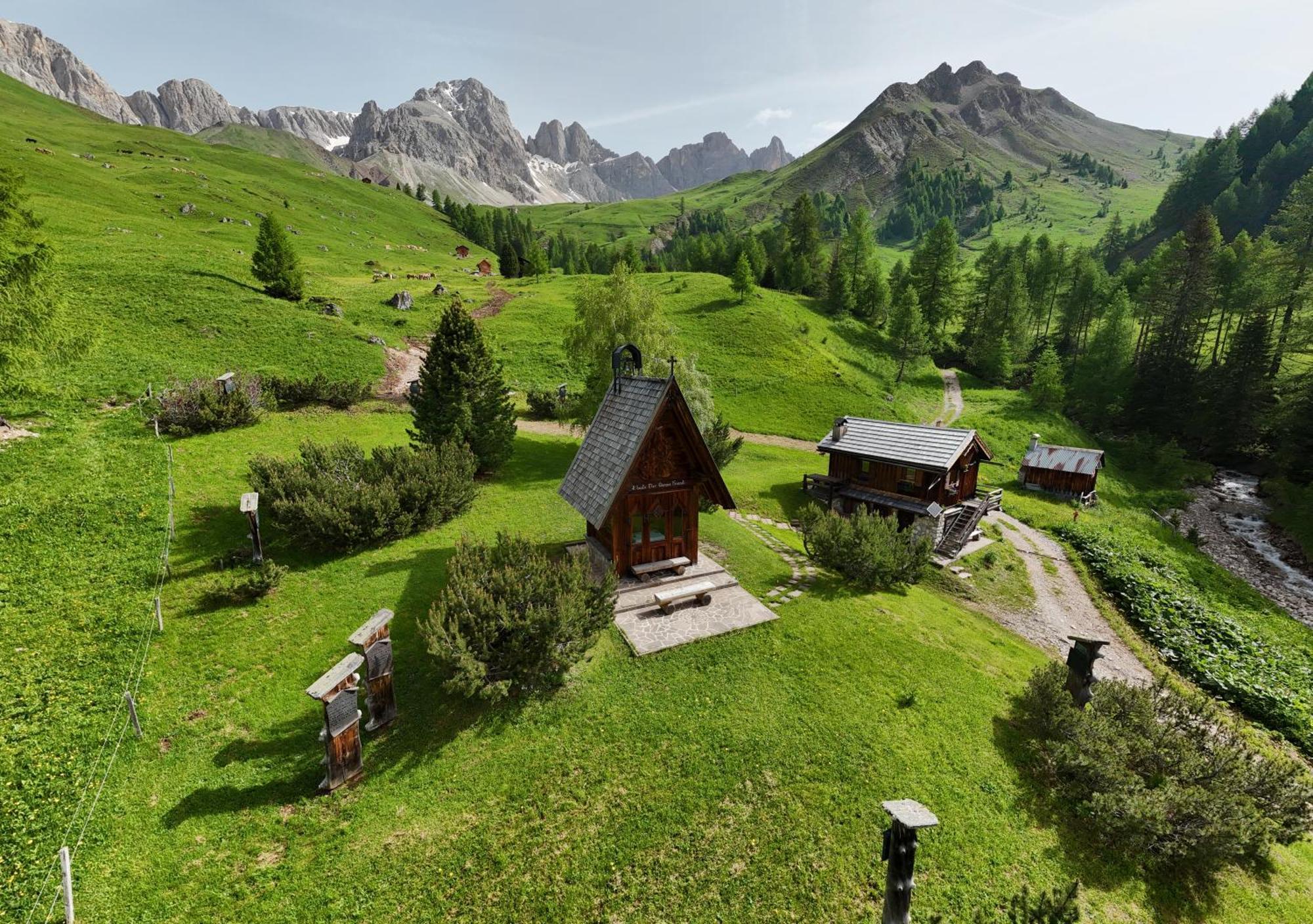 Rifugio Flora Alpina Hotel Passo San Pellegrino Buitenkant foto